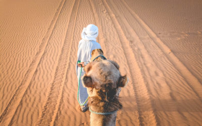 Maroc | Carnet de voyage d’une aventure solo