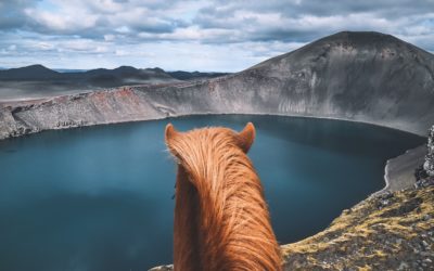 L’Islande à cheval, à la découverte des terres du Landmannalaugar