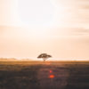 La box photo "Hakuna Matata" – Image 4