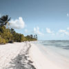 La box photo "Ambiances exotiques" – Image 5
