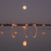 La balade des flamants roses – Image 5