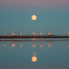 La balade des flamants roses – Image 6