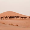 À travers le désert marocain – Image 2