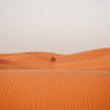 À travers le désert marocain – Image 3