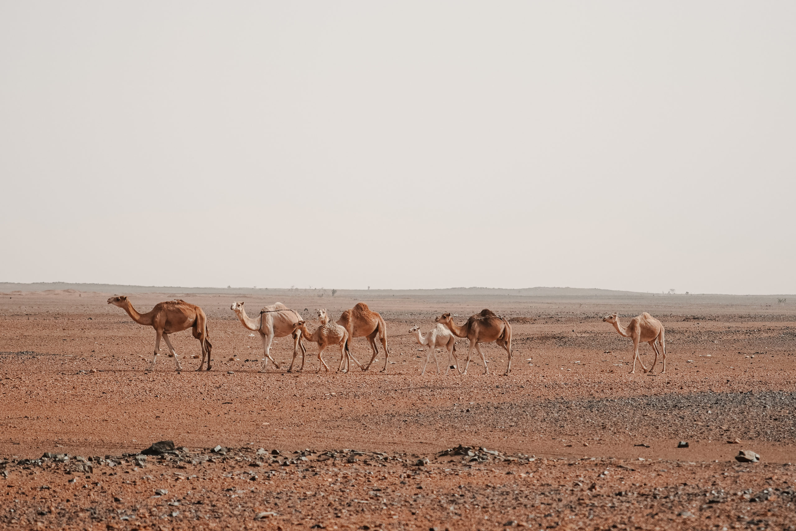 atar désert adrar chinguetti mauritanie road trip blog