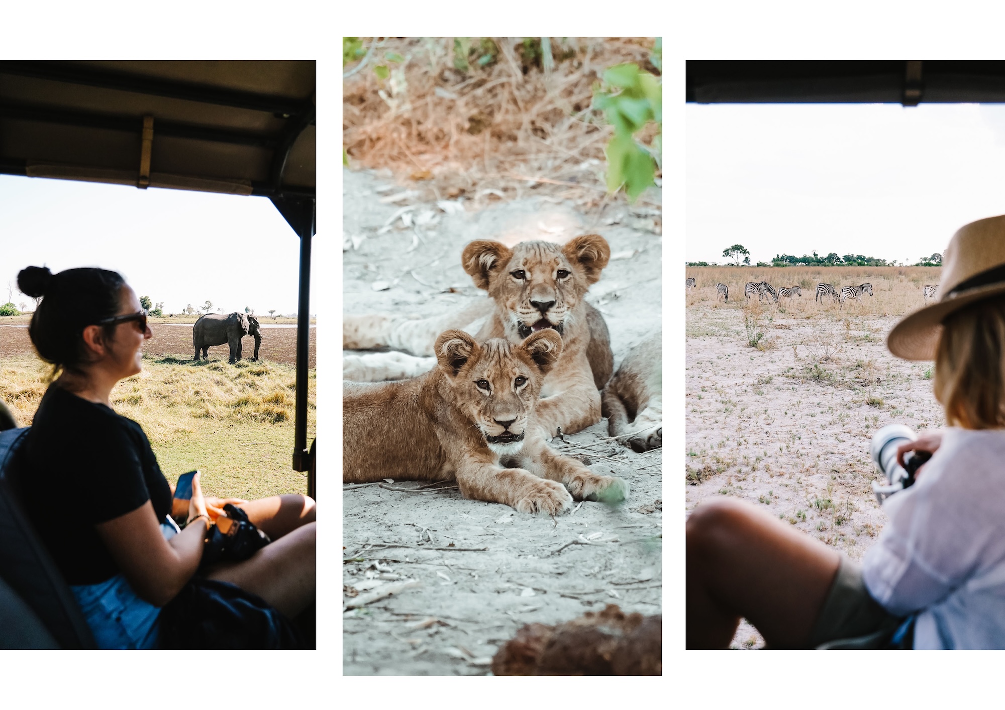 botswana road trip itinéraire voyage blog overlander 4x4 moremi maun okavango