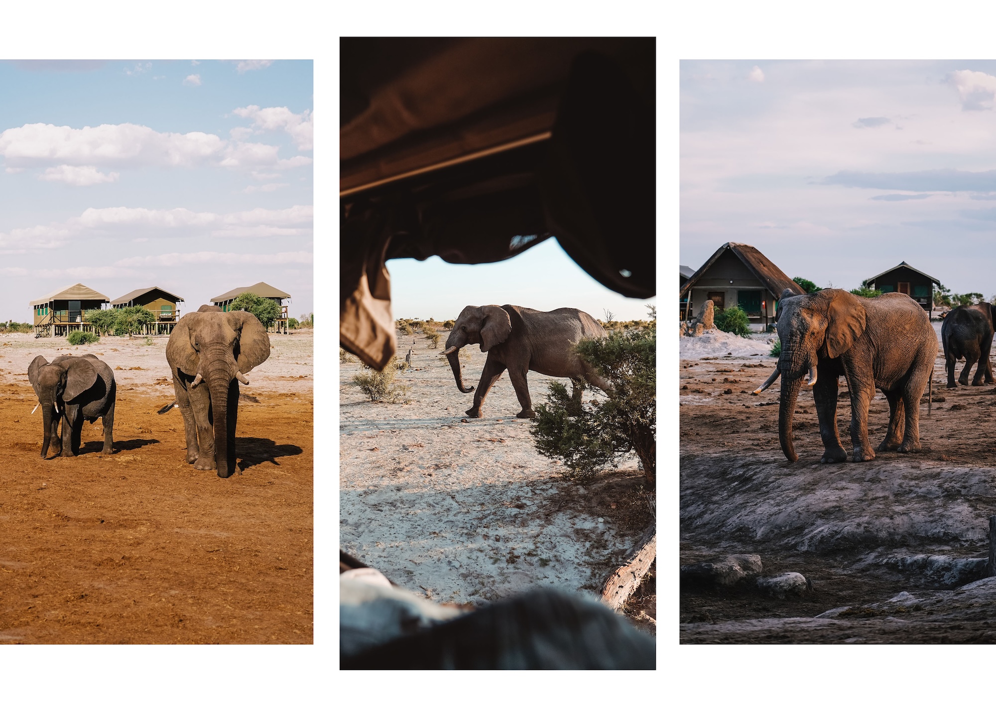 botswana road trip itinéraire voyage blog overlander 4x4 moremi maun okavango elephants sand