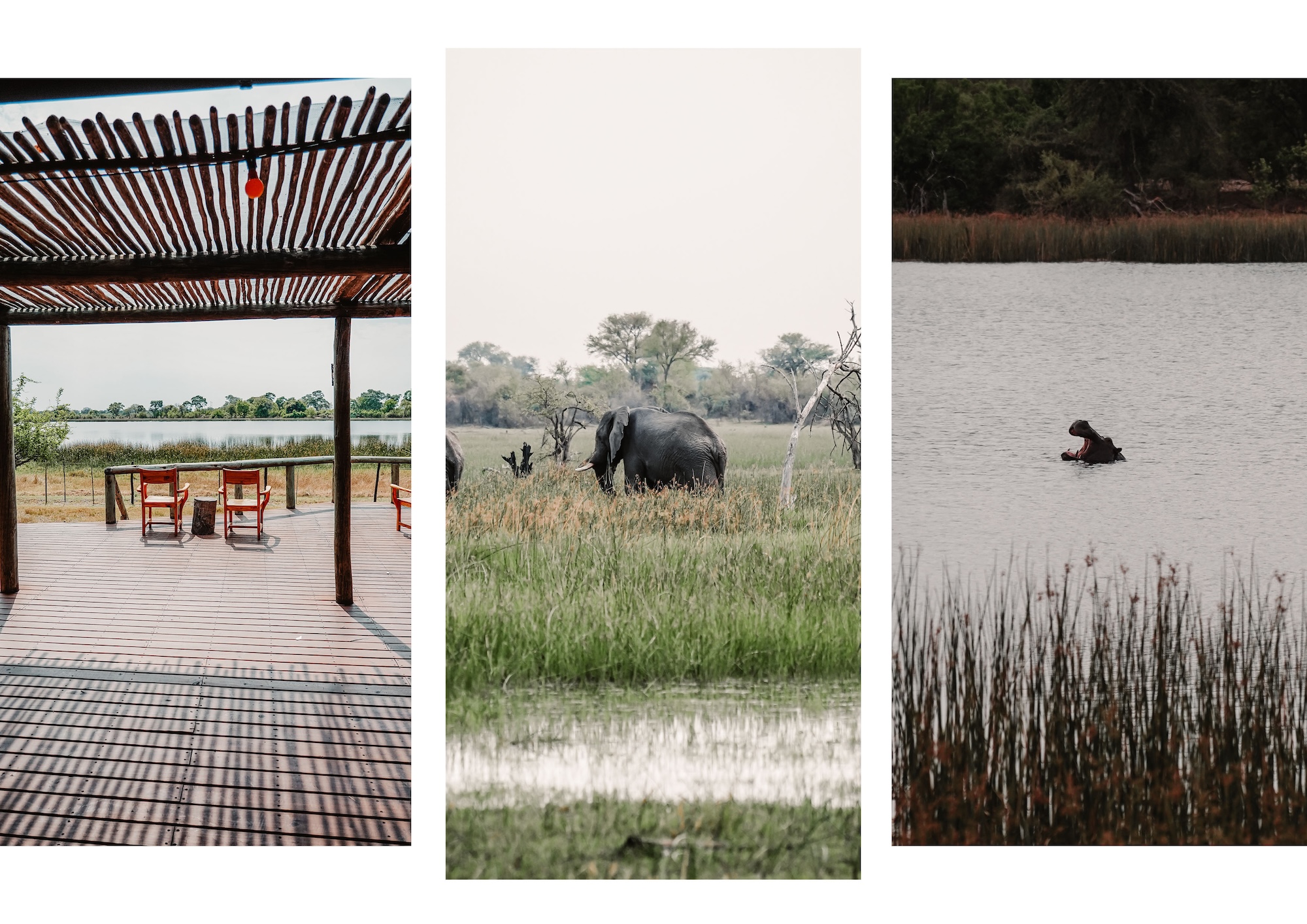 botswana road trip itinéraire voyage blog overlander 4x4 okavango delta