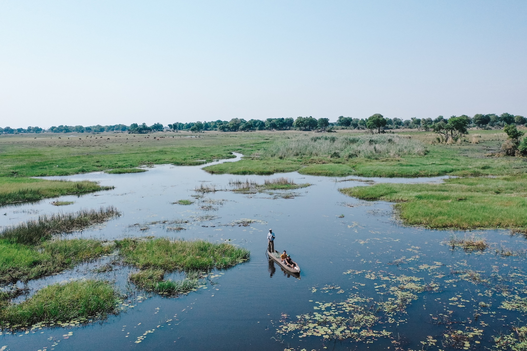 botswana road trip itinéraire voyage blog overlander 4x4