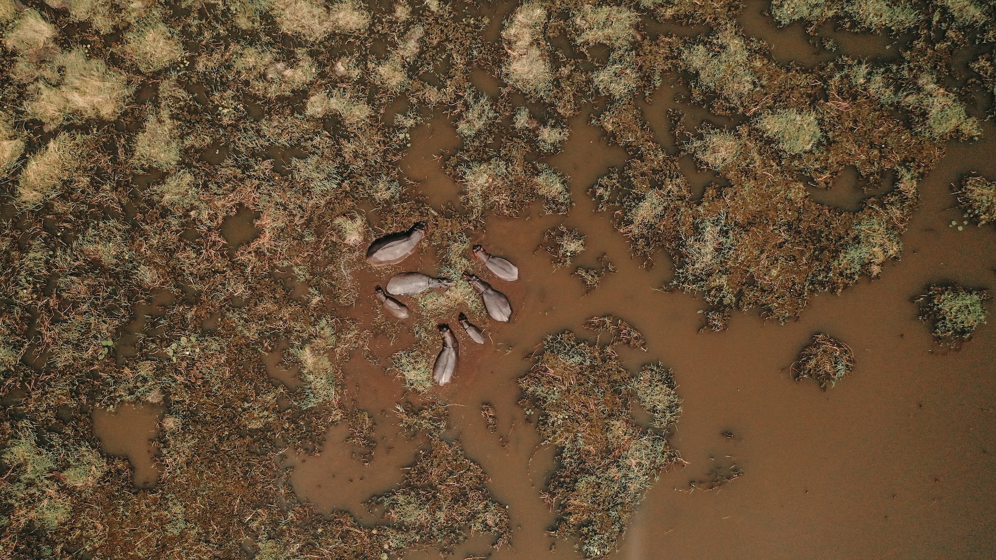 botswana road trip itinéraire voyage blog overlander 4x4