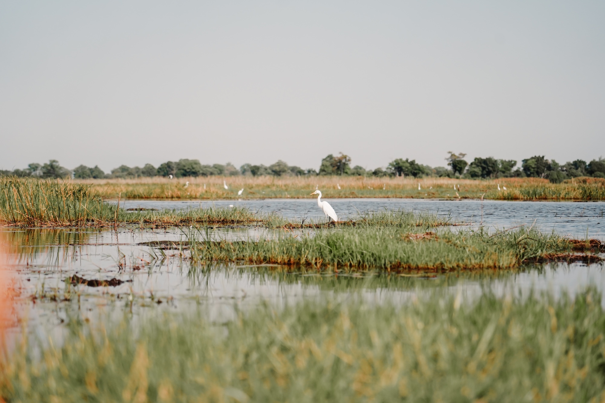 botswana road trip itinéraire voyage blog overlander 4x4