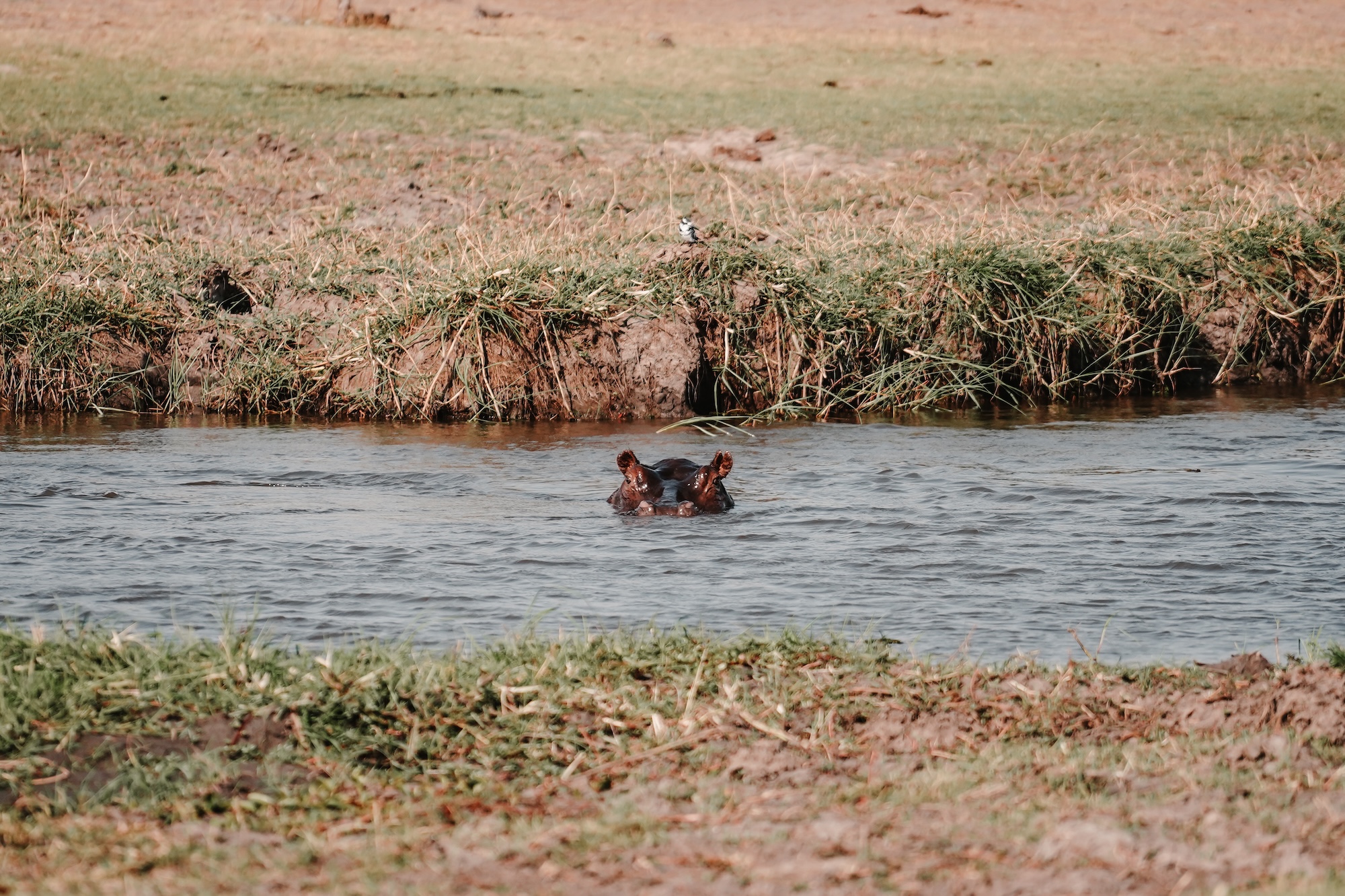 botswana road trip itinéraire voyage blog overlander 4x4 moremi maun okavango 