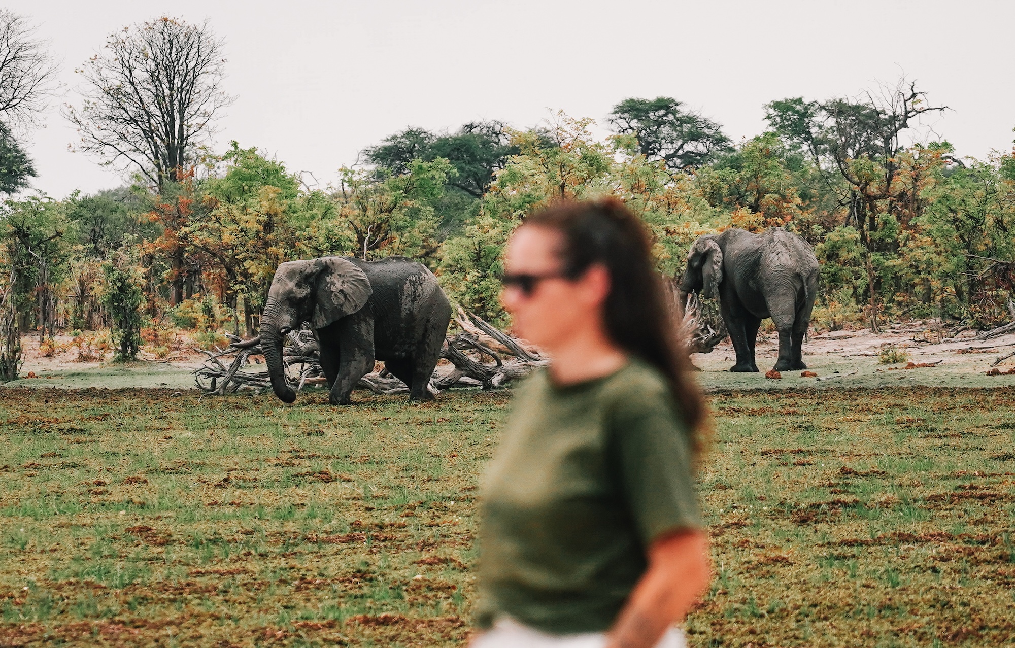 botswana road trip itinéraire voyage blog overlander 4x4 moremi maun okavango
