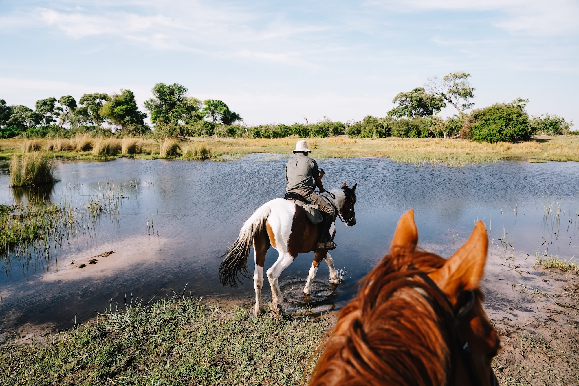botswana road trip itinéraire voyage blog overlander 4x4 moremi maun okavango