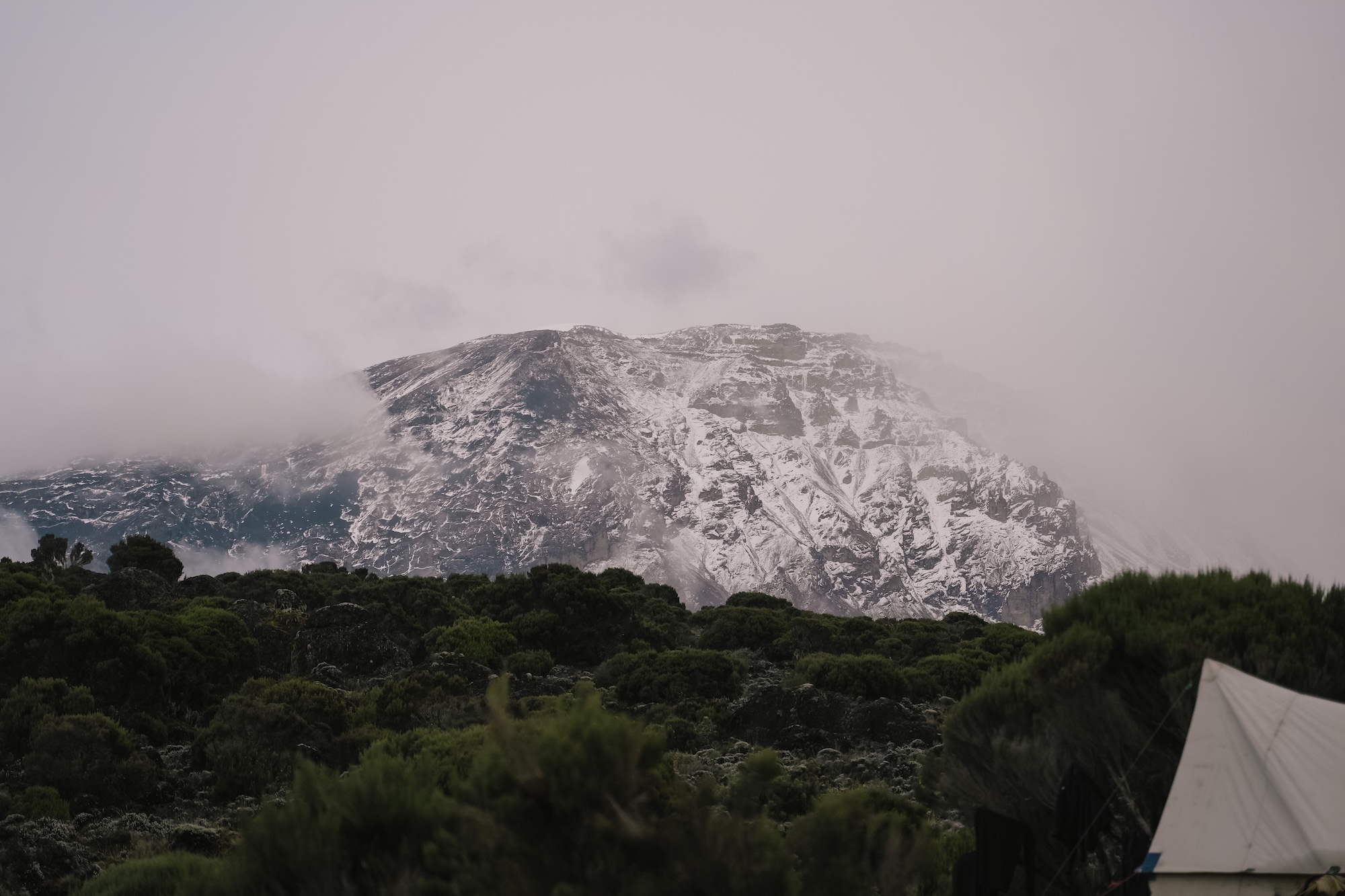 ascension kilimanjaro kilimandjaro sommet machame route