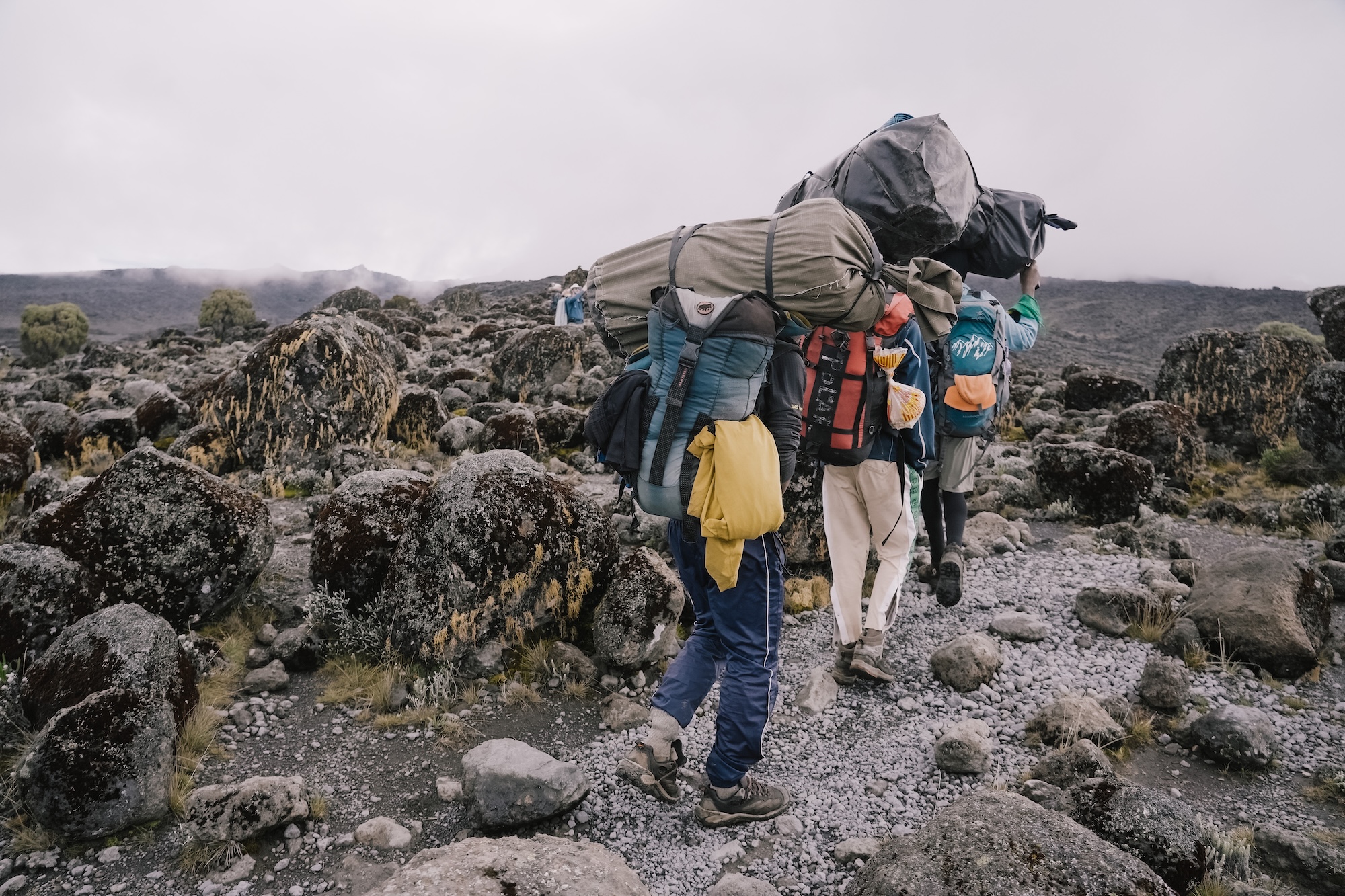 ascension kilimanjaro kilimandjaro sommet machame route