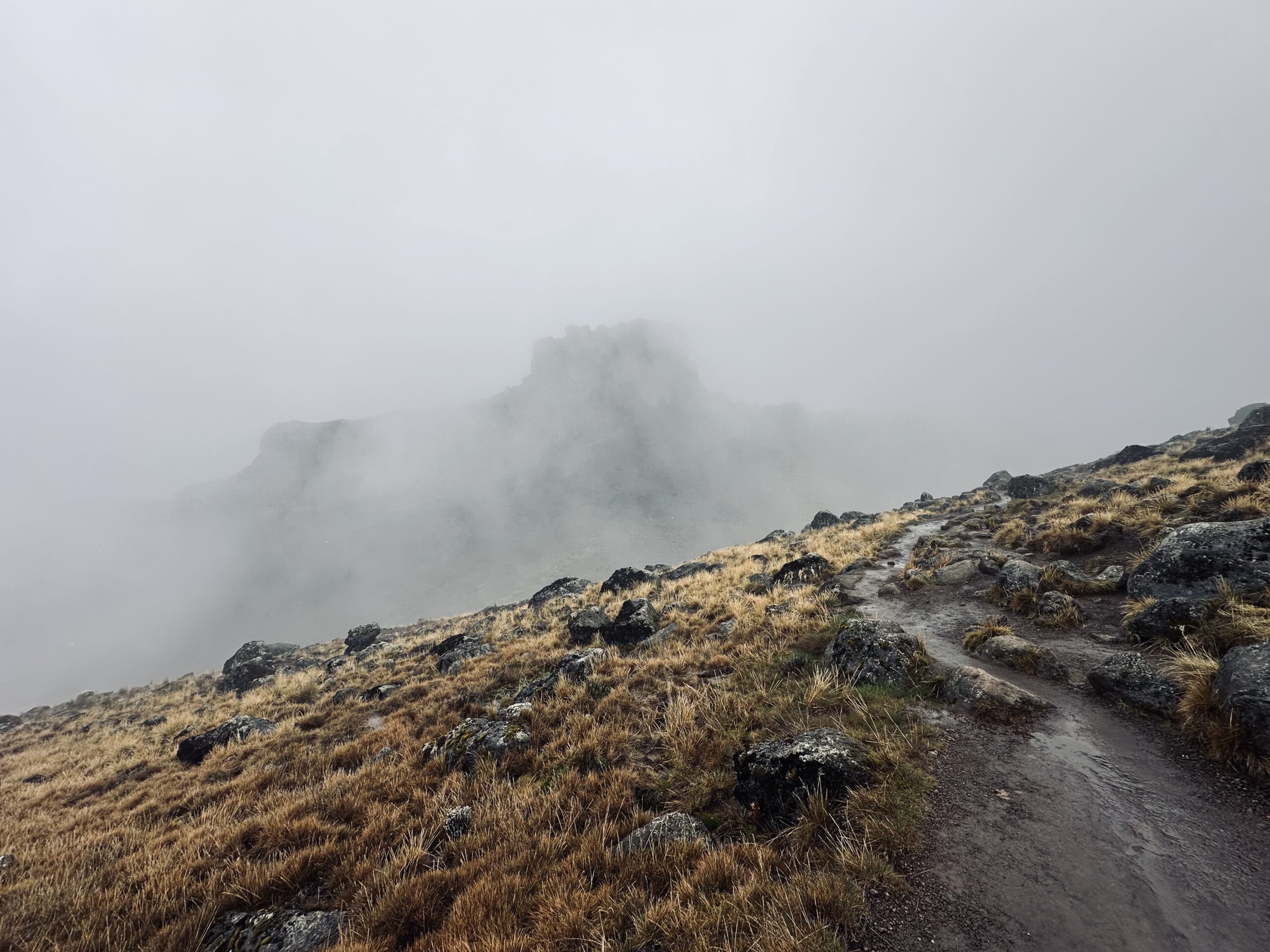 ascension kilimanjaro kilimandjaro sommet machame route