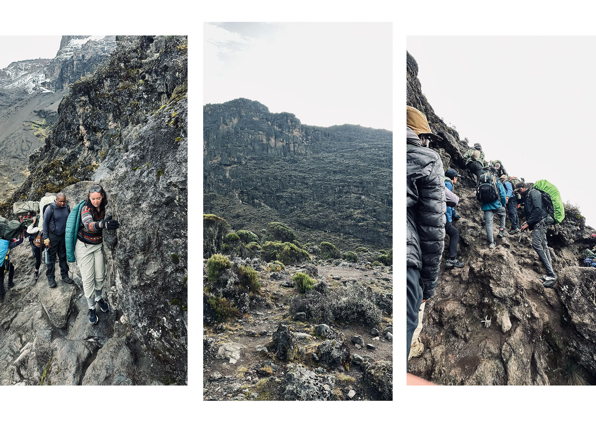 ascension kilimanjaro kilimandjaro sommet machame route