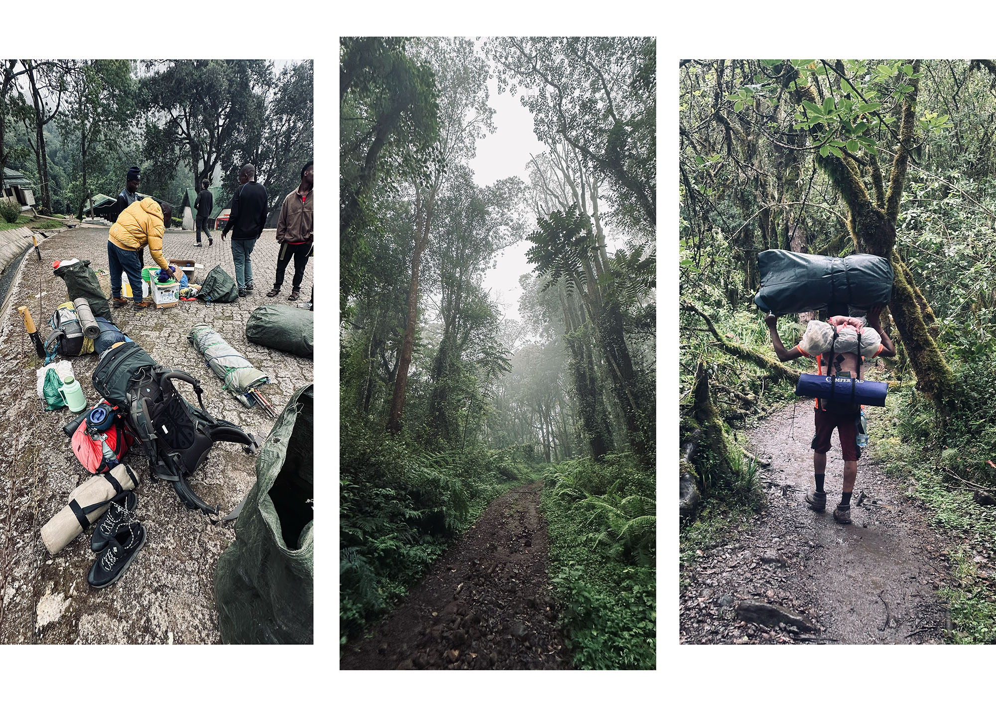 ascension kilimanjaro kilimandjaro sommet machame route