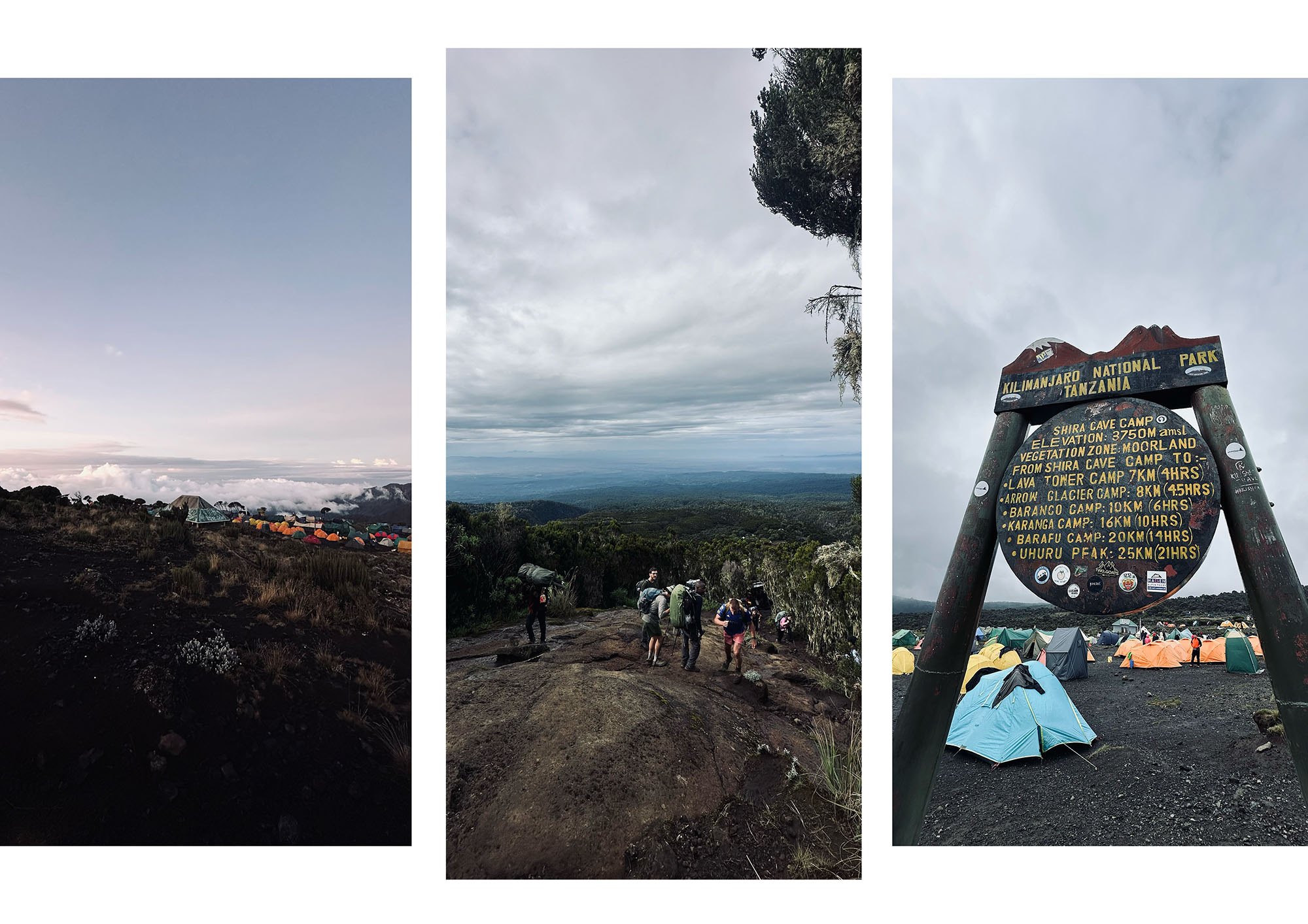 ascension kilimanjaro kilimandjaro sommet machame route