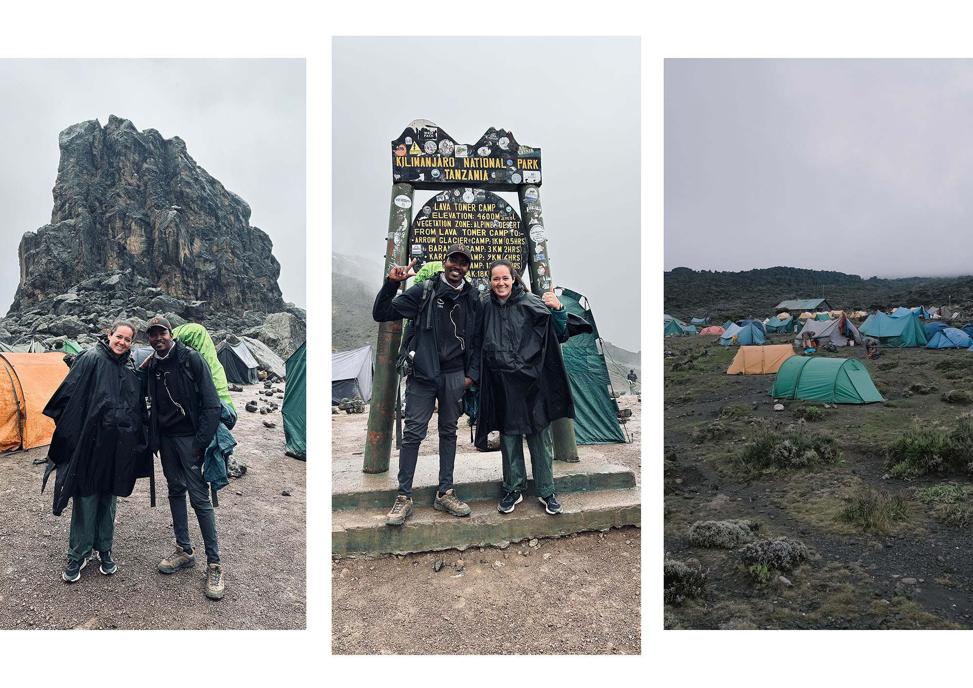 ascension kilimanjaro kilimandjaro sommet machame route