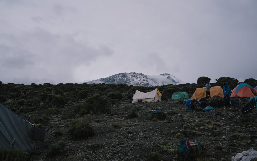 ascension kilimanjaro kilimandjaro sommet machame route
